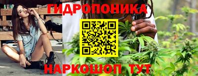 гидра Лесосибирск