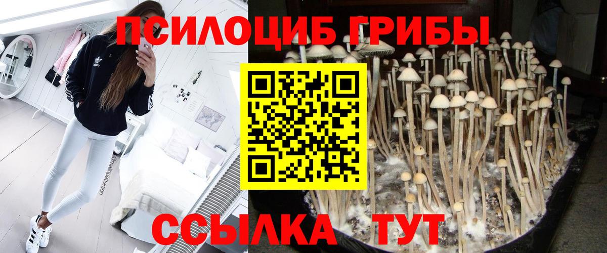 Кинешма  Галлюциногенные грибы MAGIC MUSHROOMS  как найти наркотики  Галлюциногенные грибы Cubensis  Вход с VPN 